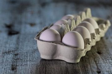 Para ilmuwan telah memberi tahu mengapa Anda tidak boleh makan banyak telur