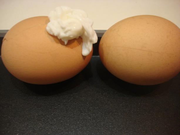 Gambar yang diambil oleh penulis (kiri telur hanya retak, telur berminyak kanan lemon)