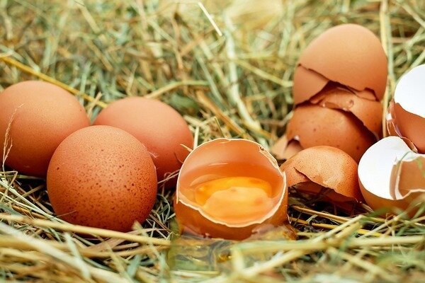 Telur tidak boleh dimakan segar, karena ini mengancam munculnya parasit di dalam tubuh. (Foto: Pixabay.com)