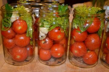 Tomat diasinkan "Zadonsk" untuk musim dingin