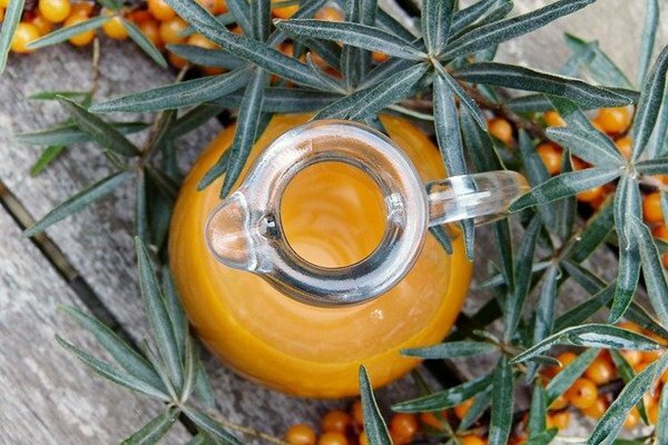Seabuckthorn membuat minuman buah yang luar biasa, tetapi Anda juga bisa membekukan beri (Foto: pixabay.com)
