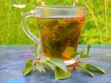 Vitamin teh dari daun cherry untuk meningkatkan kesehatan