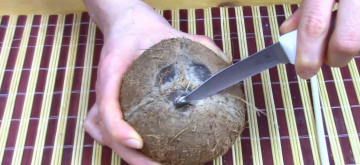 Betapa mudahnya membuka kelapa di rumah. Dan bagaimana cara memetik kelapa yang baik.