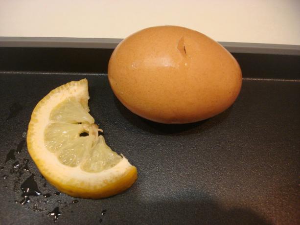 Gambar yang diambil oleh penulis (lemon, telur)