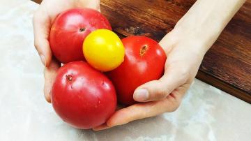 Bagaimana saya menyimpan tomat sepanjang musim dingin tanpa lemari es untuk menjaganya tetap segar dalam rasa dan penampilan