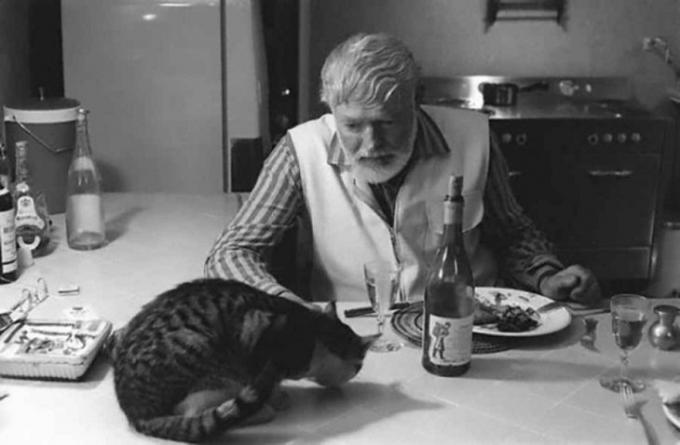Ernest Hemingway memiliki makan malam dengan kucing.