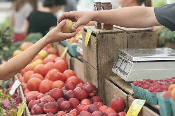Cobalah untuk membeli produk musiman: jeruk keprok, apel, nanas (Foto: Pixabay.com)