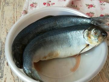 Karena saya mempersiapkan herring segar asin sangat lezat, tanpa gutting dan mengiris