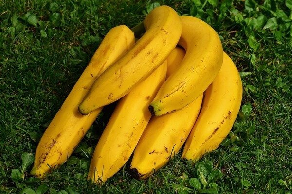 Pisang dapat ditambahkan ke smoothie pagi (Foto: Pixabay.com)