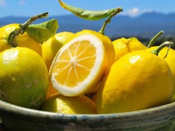 Benar beku lemon menyelamatkan dari obesitas, kanker dan diabetes!